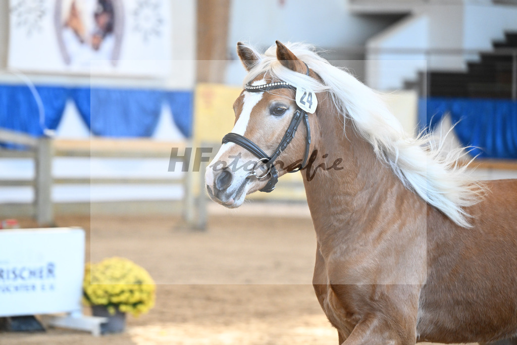 Kat-Nr. 24 nn v. Walkman M_Hartmann_48250483 | hf-fotografie - Realisiert mit Pictrs.com