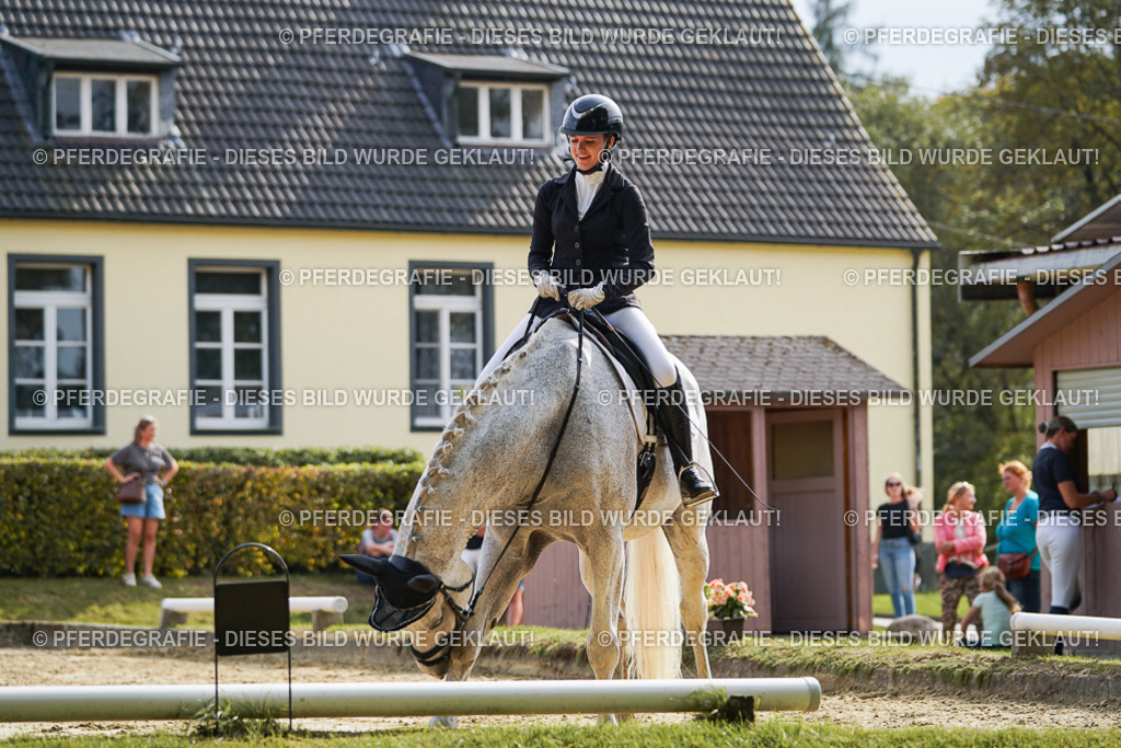 DSC04445 | Pferdegrafie