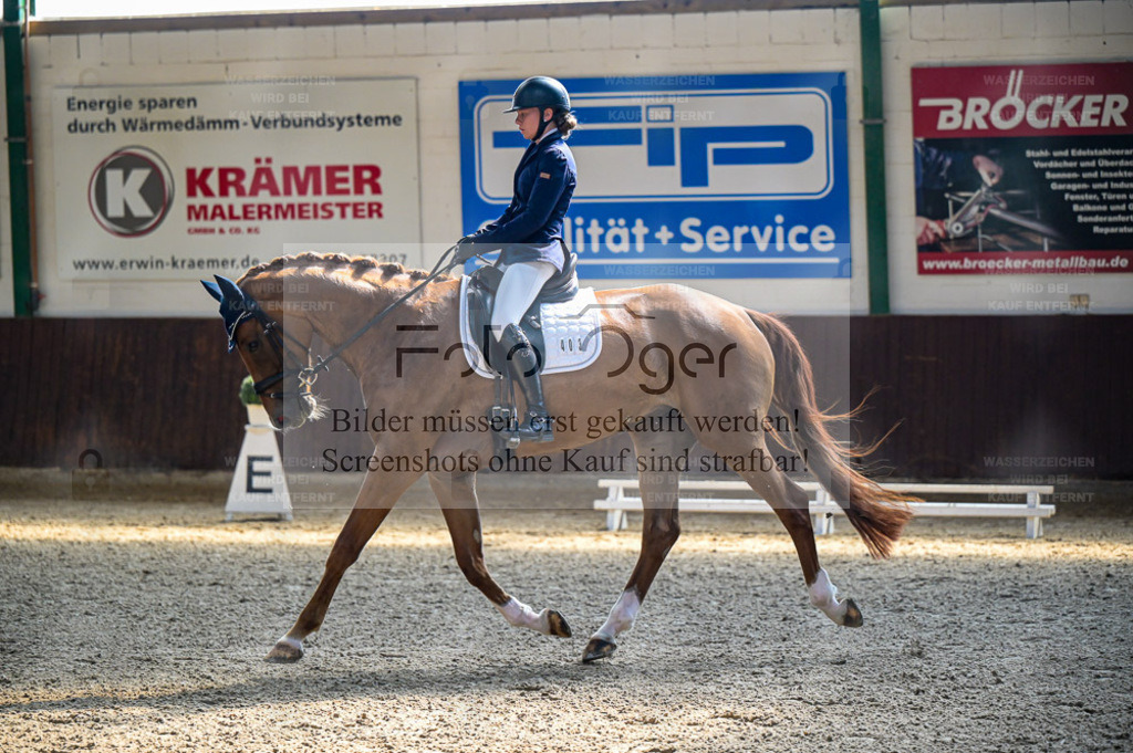 Reitturnier Voxtrup | Entdecke hochwertige Reitturnierfotos von Foto Oger. Professionell, emotional und authentisch – jetzt Lieblingsmomente im Shop bestellen. - Realisiert mit Pictrs.com