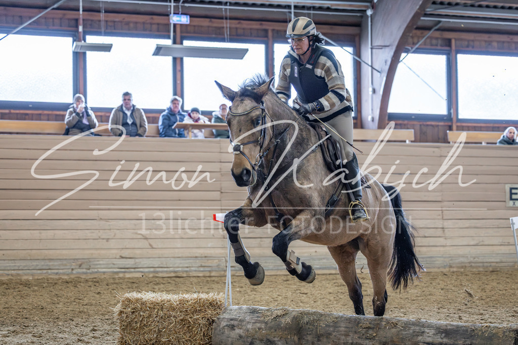 20260221-_3LI0449 | Tierfotografie Pferde, Hunde, Katzen, Haustiere.
Turnierfotografie Reitturniere, Reiten, Springreiten, Dressur in Hanau, dem Main-Kinzig-Kreis und dem Rhein-Main- Gebiet um Frankfurt