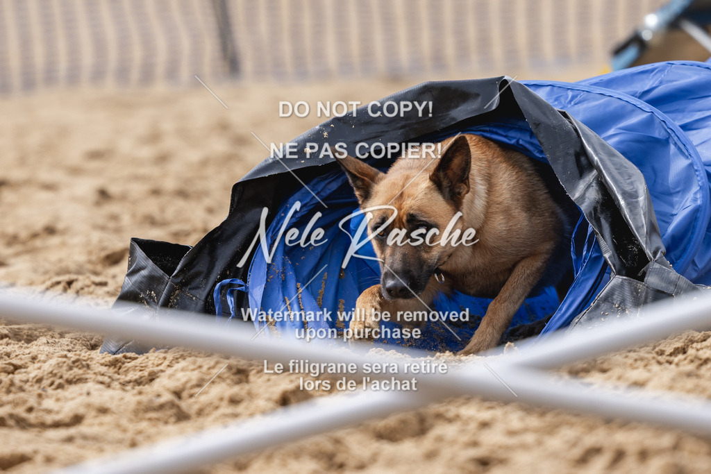 nelerasche_BuHu2026_So1530-Ende_76 | nelerasche