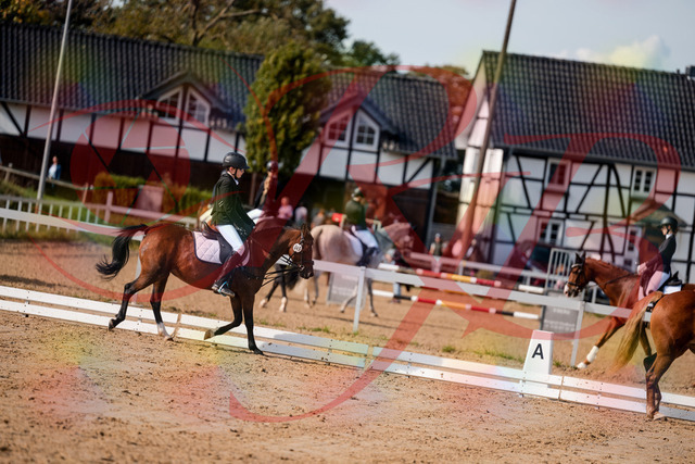 2026_10_03_Siefer-Hof_122040_Z63_43596615 | Professionelle Reitsport-, Turnier- und Eventfotografie von Robert Broda. Galerien mit ausgewählten und bearbeiteten Bildern direkt online ansehen und bestellen.