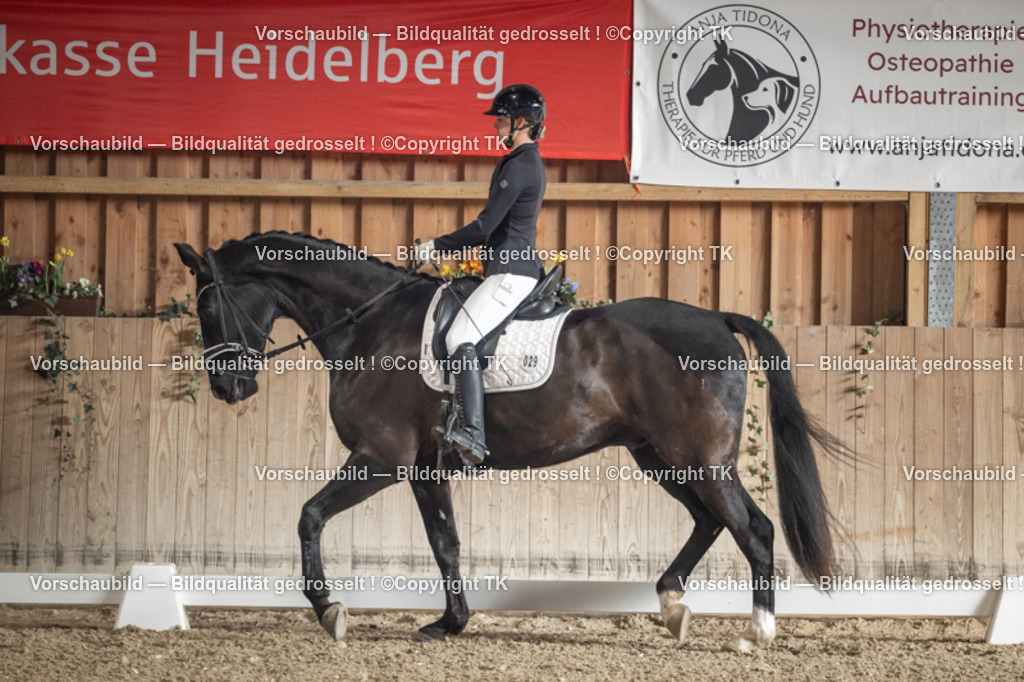 _D5A4335 | Emotionale Pferde- & People-Fotografie rund um Heidelberg, Leimen & Umgebung. Natürliche Fotos von Pferd, Mensch & Familie. Jetzt Termin sichern!