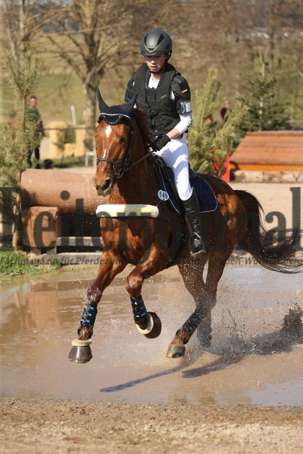 Altensteig_02-2022_Anna-Lena Fetzer_Oak Grove_s Watson (4) | Alle Fotos der Reiterjournal Fotografin Doris Matthaes im Reiterjournal Online-Fotoshop. - Realisiert mit Pictrs.com