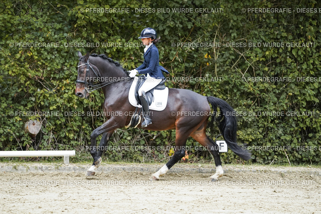 DSC00674 | Pferdegrafie