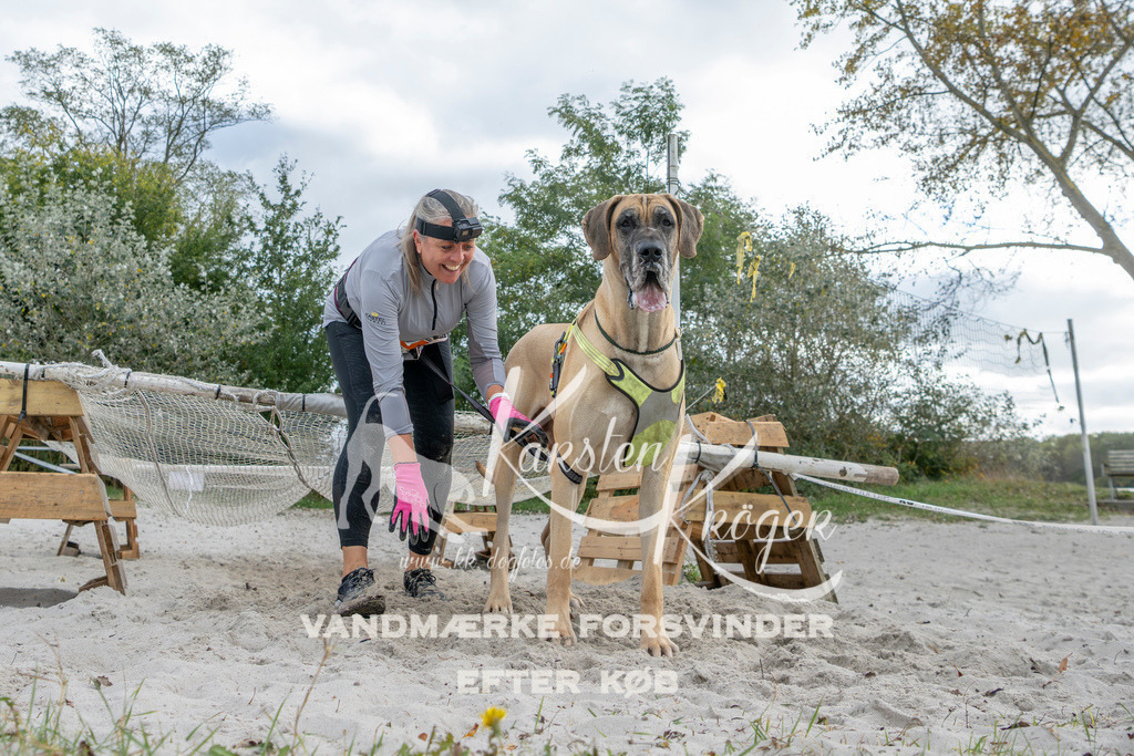 1513_ZZ93666 | kk-dogfotos