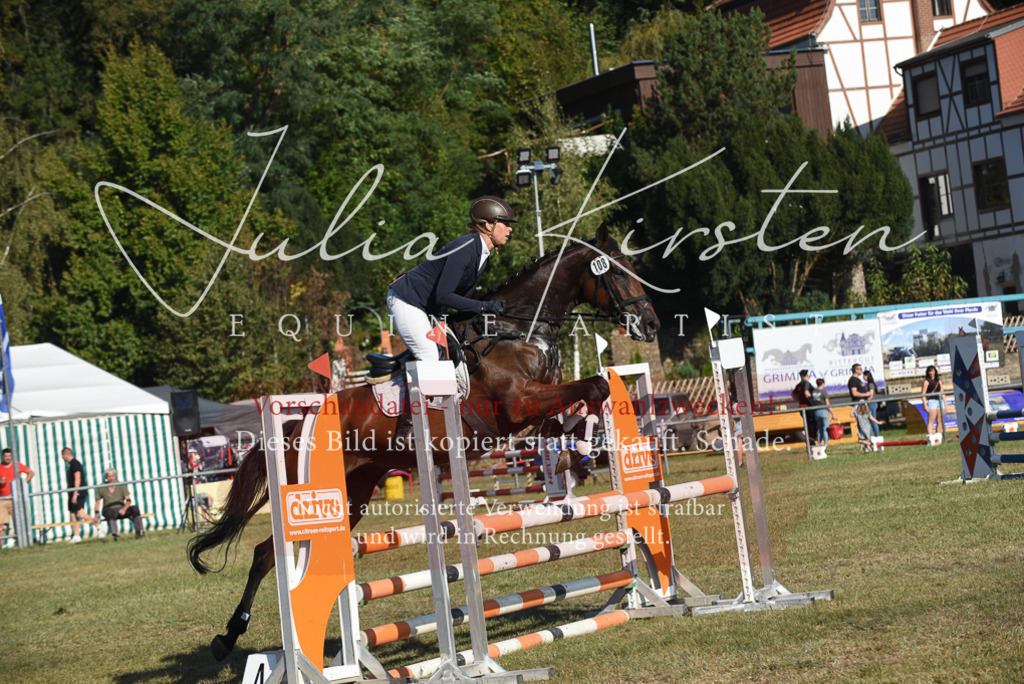 DSC_5285 | Pferde- und Turnierfotografie in Westsachsen. Pferdeportraits, Auftragszeichnungen und intuitive Kunst.