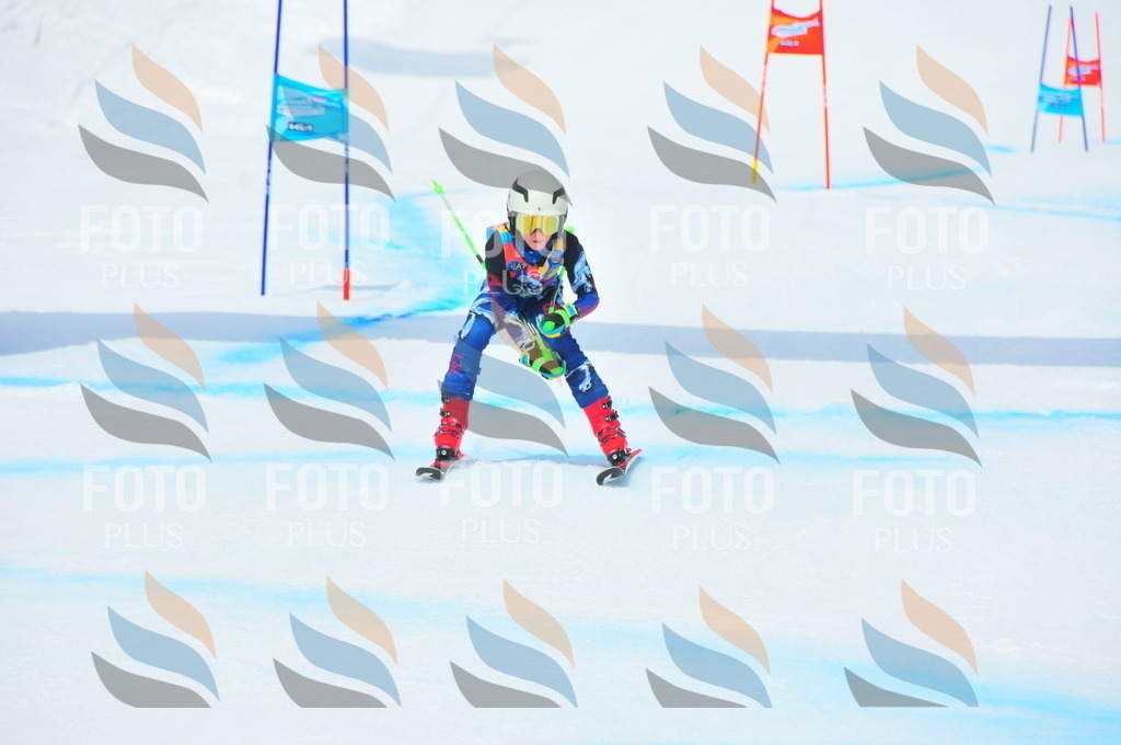 DSC_2580 | holidayphoto