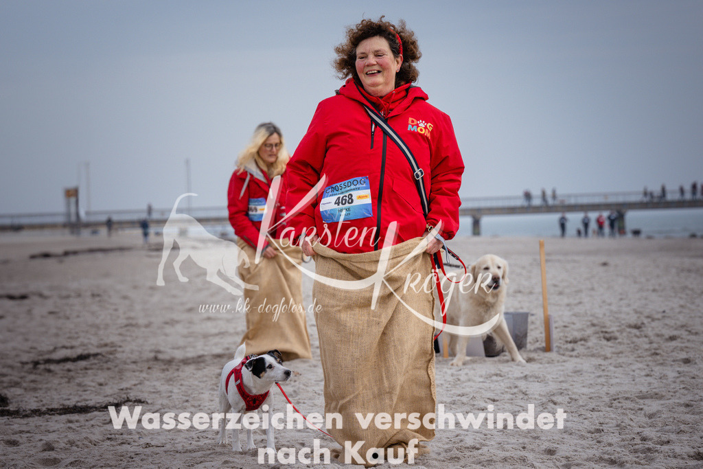 1155_ZZ91359 | kk-dogfotos