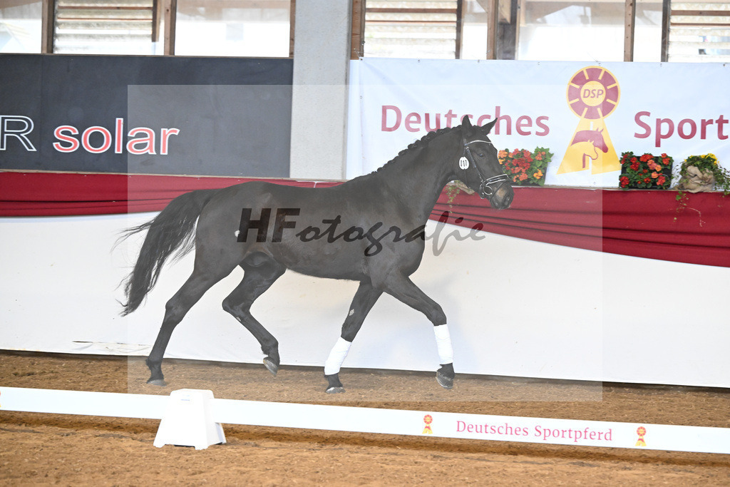 Kat-Nr. 17 Bellary v. Bohemian_Fischer_16250160 | hf-fotografie - Realizzato con Pictrs.com