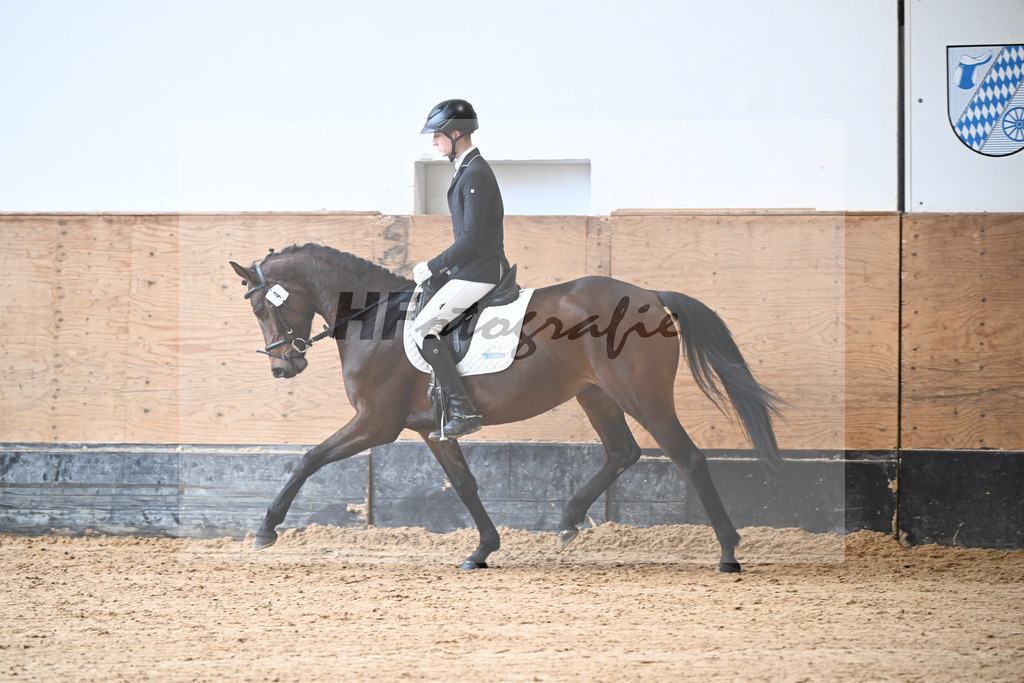 Kat-Nr. 4 Lisl-P v. Fail Deal_Purucker_50250150 | hf-fotografie - Realisiert mit Pictrs.com