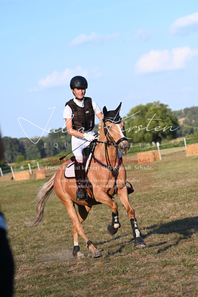 DSC_9241 | Pferde- und Turnierfotografie in Westsachsen. Pferdeportraits, Auftragszeichnungen und intuitive Kunst.