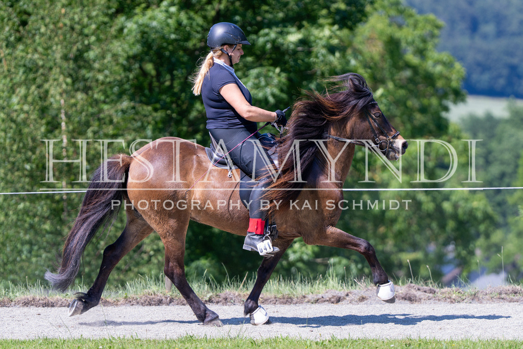 KAI05992 | Ihr sucht einen Fotografen für eure nächste OSI? Ich begleite auch euer Turnier für Islandpferde fotografisch.  - Realisiert mit Pictrs.com