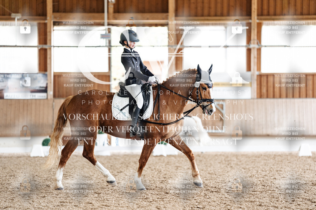CK900812 | Turnierfotografie Pferdefotografie Trier Rheinland-Pfalz Pferdesport Reitsport Tierfotografie Sportfotografie Pferdevideo Pferdevideografie Equestrianvideography equestrianphotography  - Realisiert mit Pictrs.com