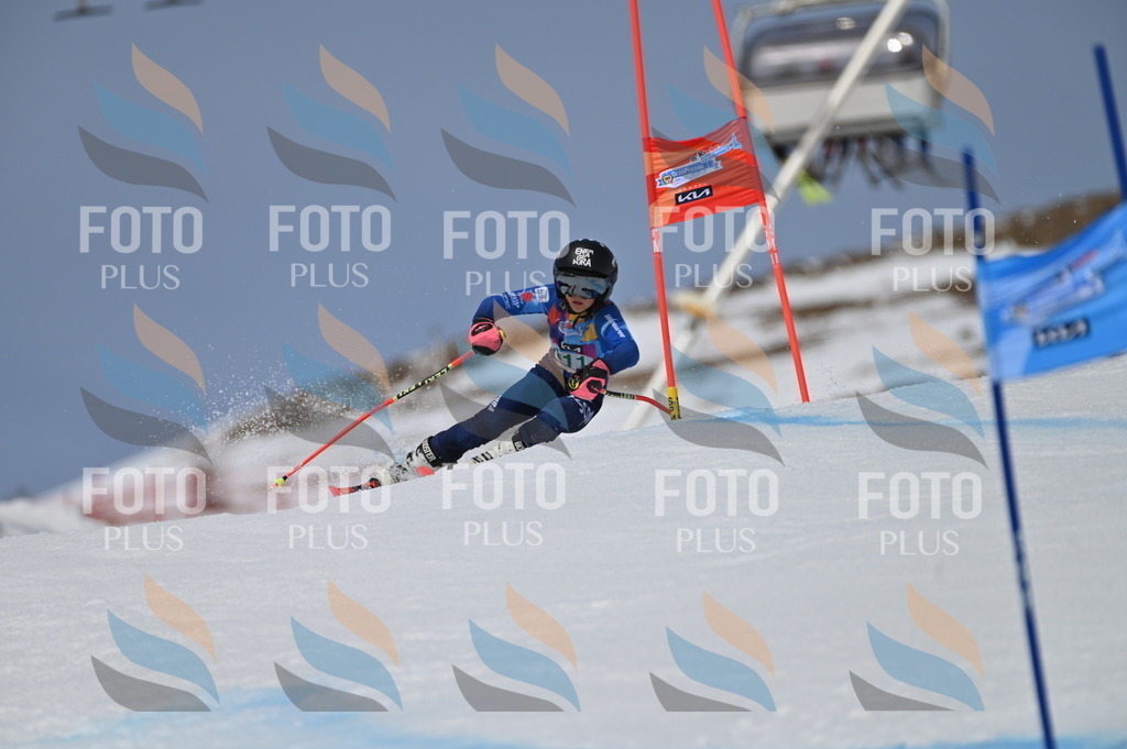 BGV_6153 | holidayphoto