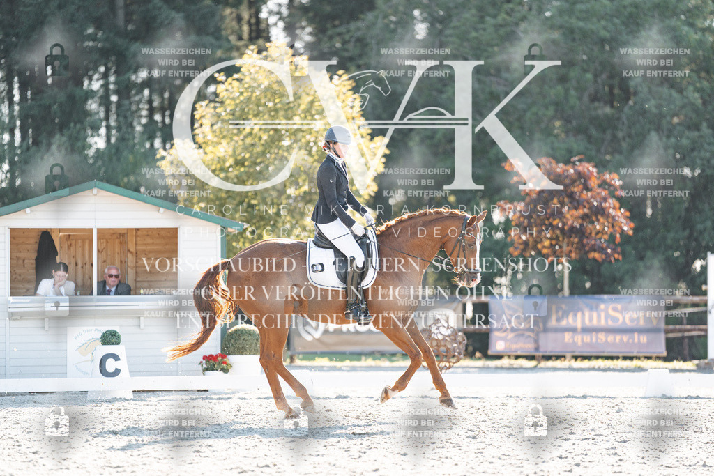 CK906996 | Turnierfotografie Pferdefotografie Trier Rheinland-Pfalz Pferdesport Reitsport Tierfotografie Sportfotografie Pferdevideo Pferdevideografie Equestrianvideography equestrianphotography  - Realisiert mit Pictrs.com