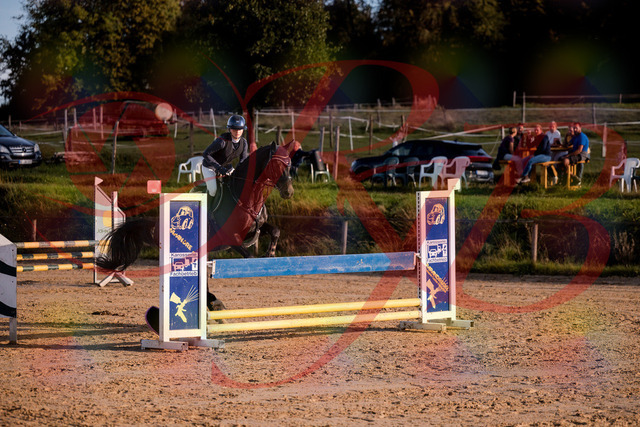 2026_10_03_Siefer-Hof_171603_Z81_13969021 | Professionelle Reitsport-, Turnier- und Eventfotografie von Robert Broda. Galerien mit ausgewählten und bearbeiteten Bildern direkt online ansehen und bestellen.