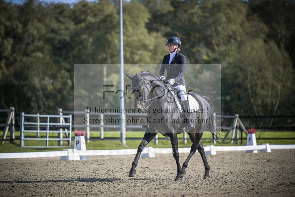 DOS_1562 | Entdecke hochwertige Reitturnierfotos von Foto Oger. Professionell, emotional und authentisch – jetzt Lieblingsmomente im Shop bestellen.Deutschlandweite Turnierfotografie. - Realisiert mit Pictrs.com