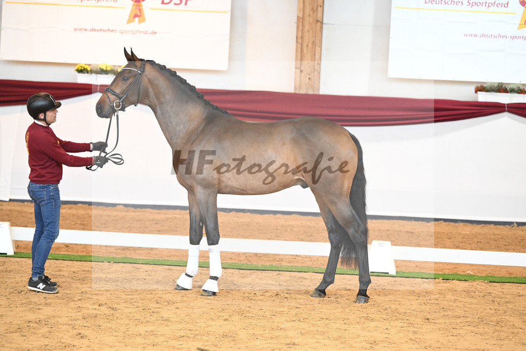 Kat-Nr. 39 v. Jovian_Dahlhoff_66220987 | hf-fotografie - Realisiert mit Pictrs.com