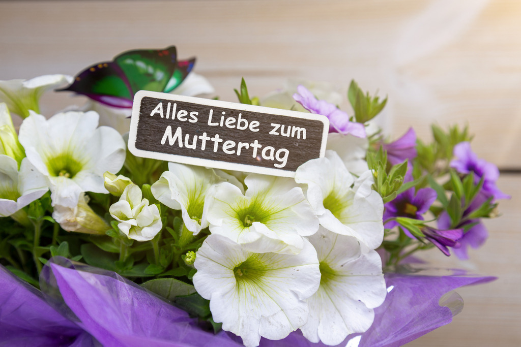 Muttertagsgrüße Muttertag 2026 | (Fotomontage) Frühlingsblumen mit digital hinzugefügtem Holzschild mit Text ALLES LIEBE ZUM MUTTERTAG - Realisiert mit Pictrs.com