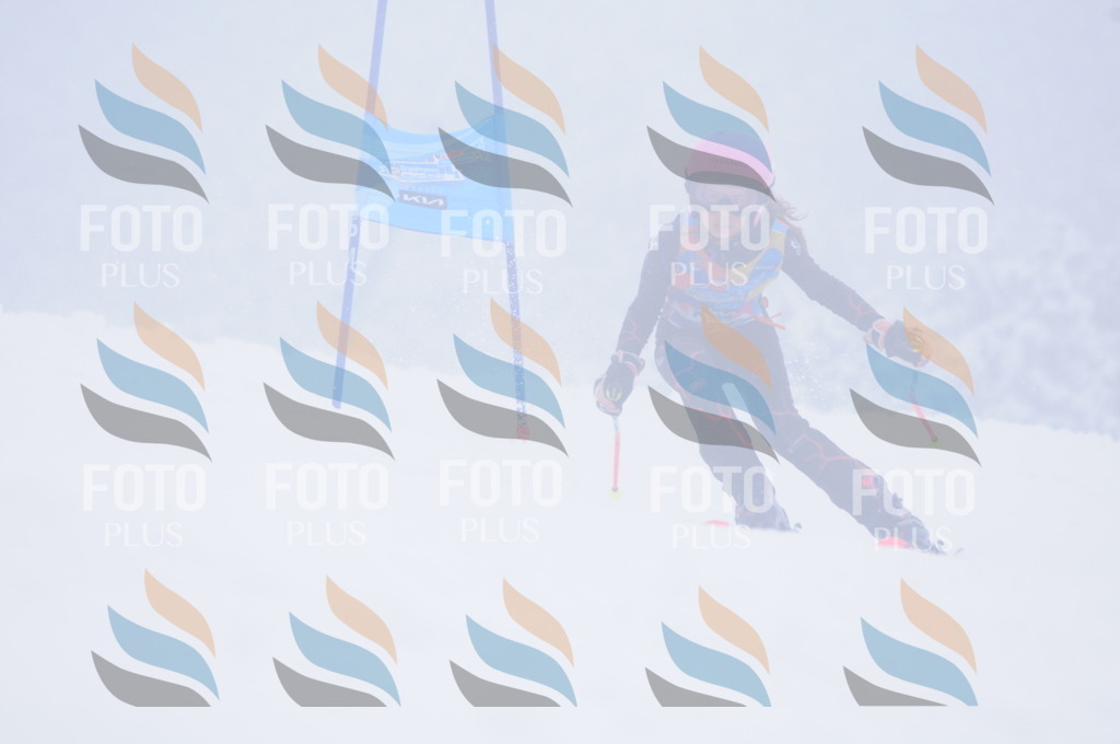 C2460 | holidayphoto