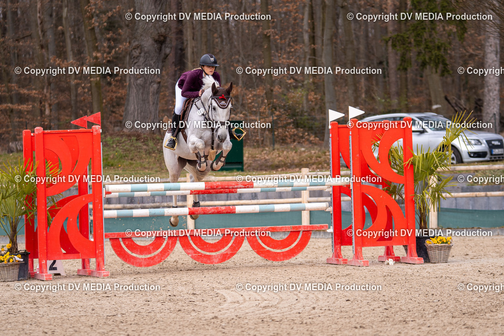 Kranichstein Tag 2-2055 | dv-media-shop - Realisiert mit Pictrs.com