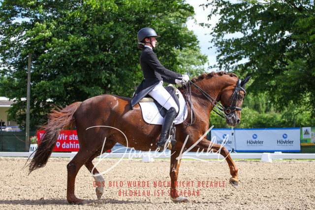 DKP41427 | Turnierfotos kaufen im Webshop von Daniel Kuhl Photography – entdecke professionelle Reitsportfotos aus Turnieren & Events. Hochwertige Turnierbilder online bestellen & sichern. Jetzt Fotos von Reitsportturnieren kaufen!