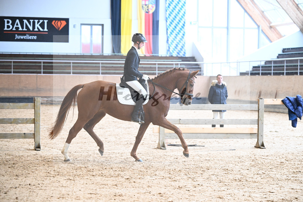 Kat-Nr. 10 Weissenas Valentina v. Va Bene_Eder_50250396 | hf-fotografie - Realisiert mit Pictrs.com