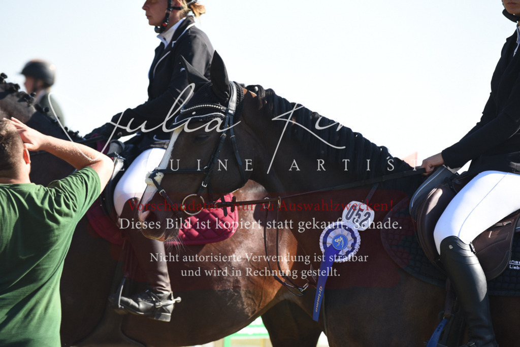 DSC_5465 | Pferde- und Turnierfotografie in Westsachsen. Pferdeportraits, Auftragszeichnungen und intuitive Kunst.