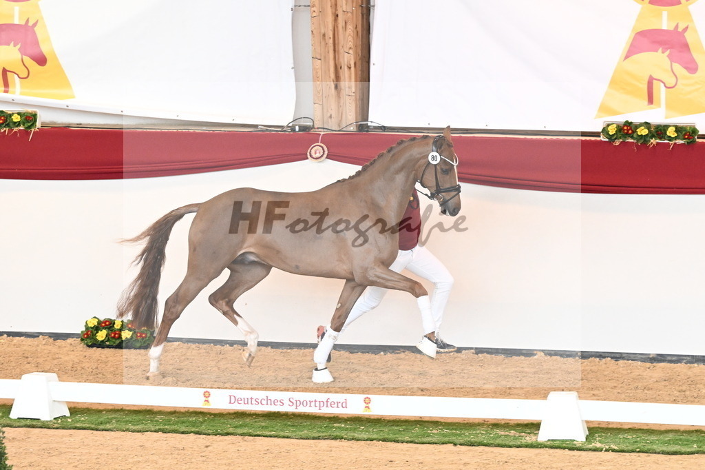 Kat.-Nr. 80 v. Vivino_Schepergerdes_2241077 | hf-fotografie - Realizzato con Pictrs.com
