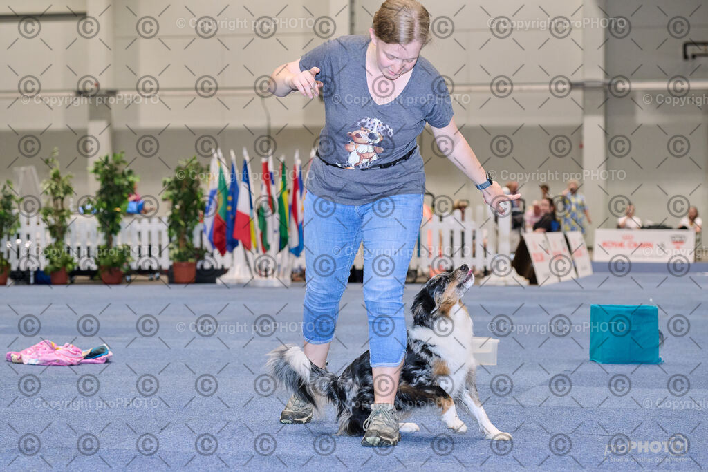 202406_ÖKV-IHA-Tulln24_NZ9_7706 | proPHOTO - Realisiert mit Pictrs.com