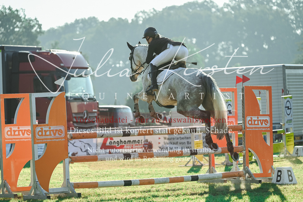 DSC_4252 | Pferde- und Turnierfotografie in Westsachsen. Pferdeportraits, Auftragszeichnungen und intuitive Kunst.