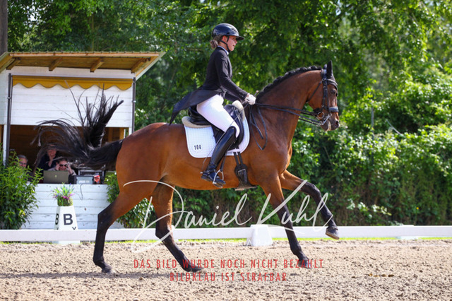 DKP41403 | Turnierfotos kaufen im Webshop von Daniel Kuhl Photography – entdecke professionelle Reitsportfotos aus Turnieren & Events. Hochwertige Turnierbilder online bestellen & sichern. Jetzt Fotos von Reitsportturnieren kaufen!