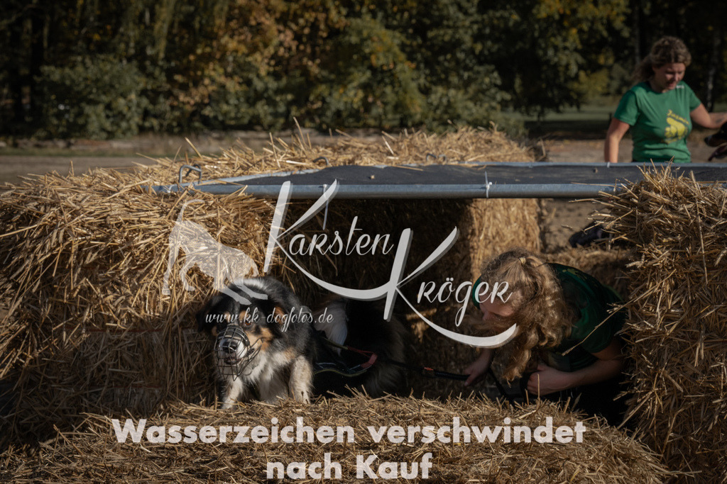 1055_ZZ99564 | kk-dogfotos