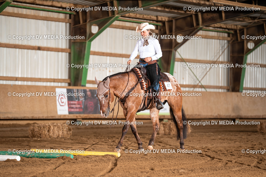 Balingen Tag 2-1890 | dv-media-shop - Realisiert mit Pictrs.com