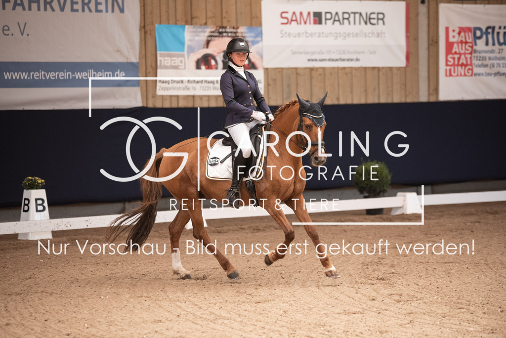 DSC_3223 | Carolin Gieschke