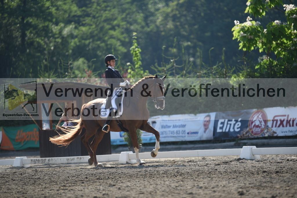 DSC_2830 | equestrian-live-com