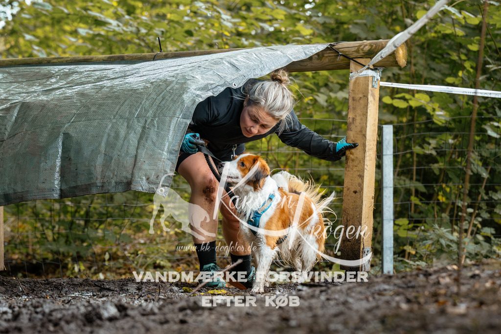 1426DZ6_1944Z6 | kk-dogfotos