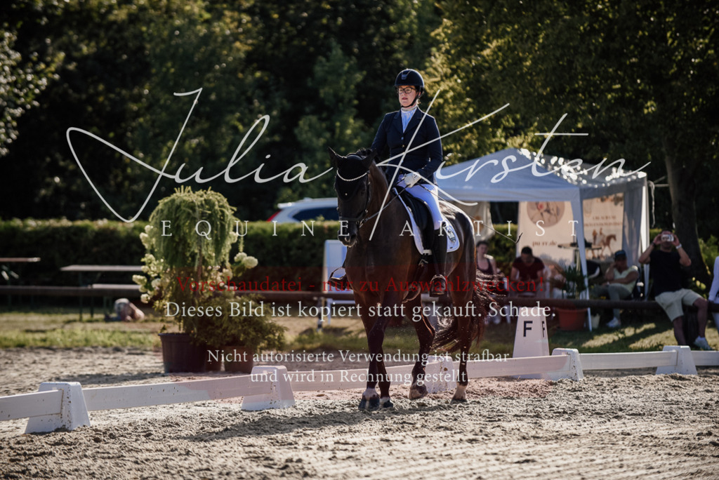 DSC_0552 | Pferde- und Turnierfotografie in Westsachsen. Pferdeportraits, Auftragszeichnungen und intuitive Kunst.