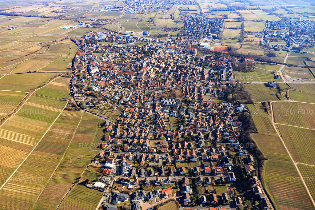 Stadtübersicht aus Westen im Winter ohne Schnee | Luftbild: Stadtübersicht aus Westen im Winter ohne Schnee in Deidesheim im Bundesland Rheinland-Pfalz in Deutschland. Foto: IMG_112793.jpg vom 27.02.2019 durch Werner Riehm/FLY-FOTO.de - Realisiert mit Pictrs.com