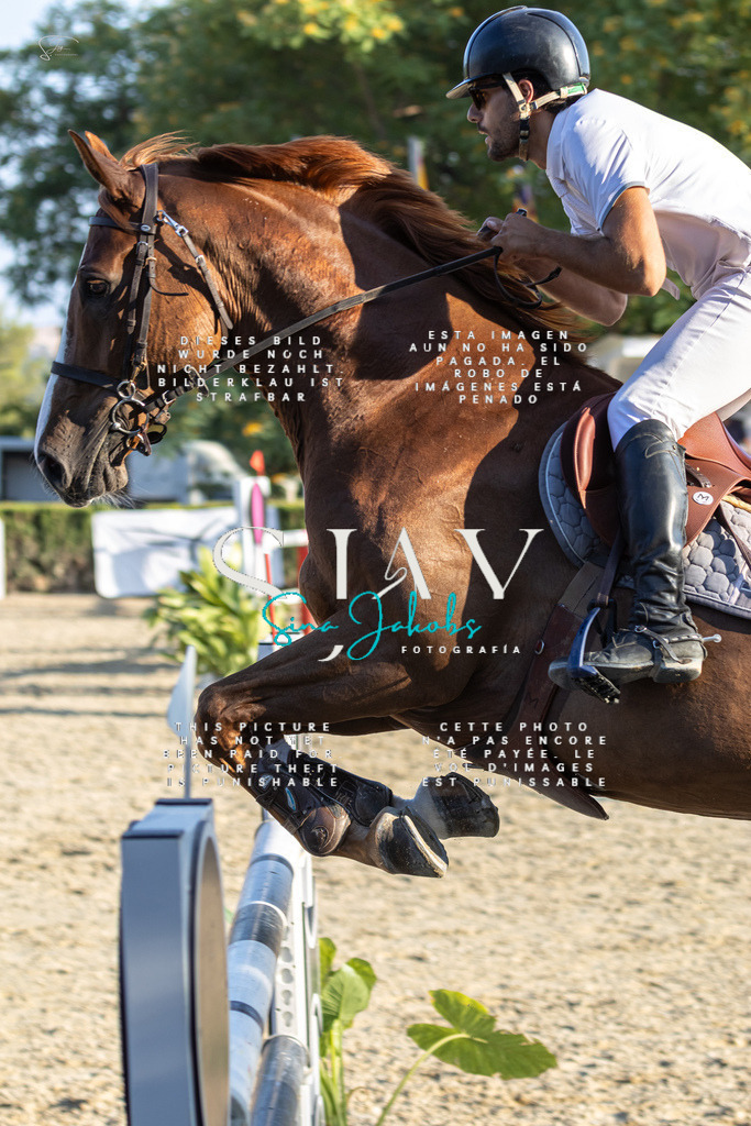 IMG_9757 | s-jay-photography - Realisiert mit Pictrs.com