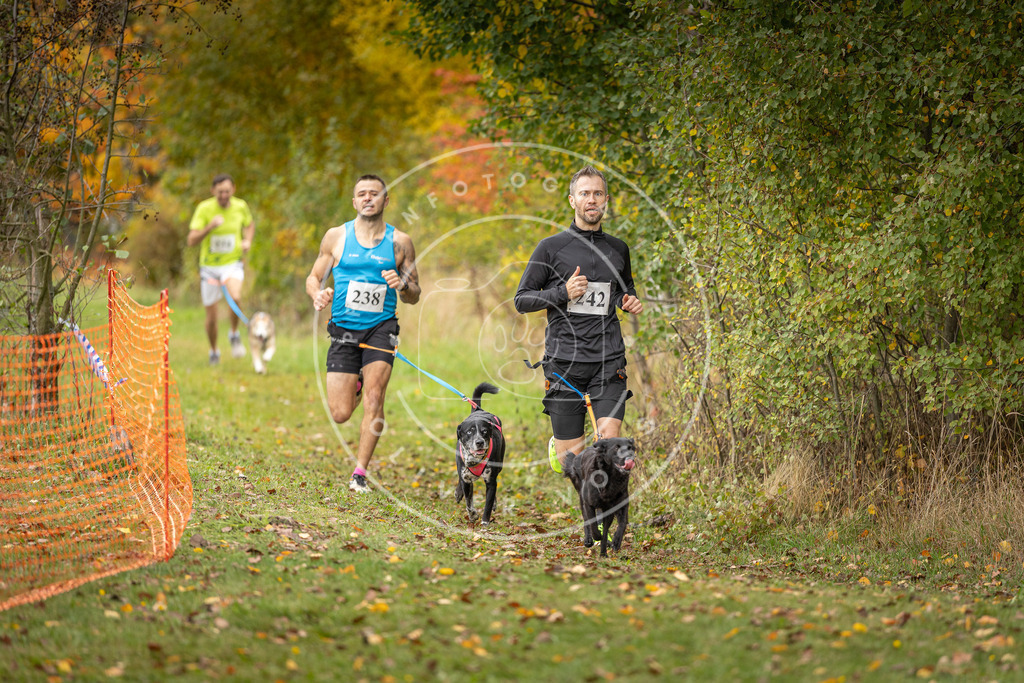 Pfotenfotografie_DV3A4356 | Hundefotografie, Tierfotograf, Pfotenfotografie, Fotoshooting Hund, Hunde Portrait, Hundesport, Hundeportraits, Heideshooting, Hunde, Sportfotograf, Hundefotograf, Turnierhundsport, THS,  - Realisiert mit Pictrs.com