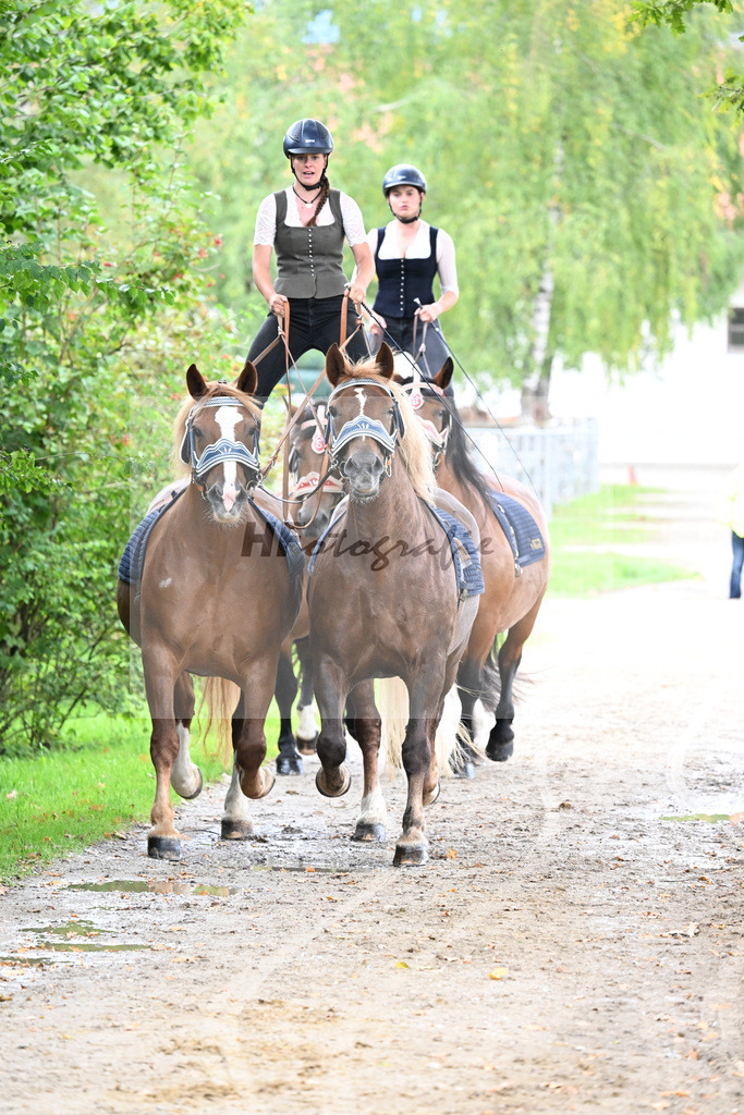 Ungarische Post_34251390 | hf-fotografie - Realisiert mit Pictrs.com