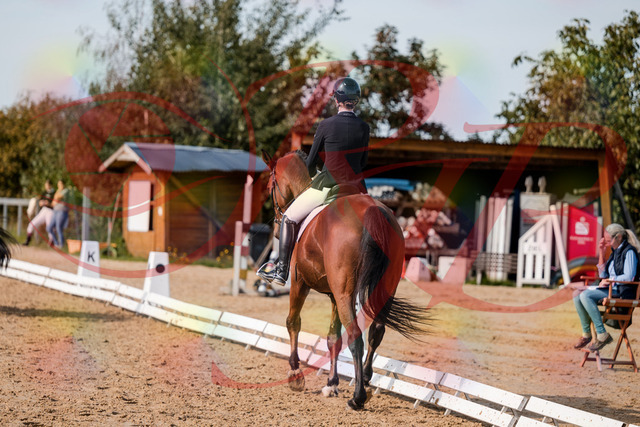 2026_10_03_Siefer-Hof_131018_Z63_72609516 | Professionelle Reitsport-, Turnier- und Eventfotografie von Robert Broda. Galerien mit ausgewählten und bearbeiteten Bildern direkt online ansehen und bestellen.