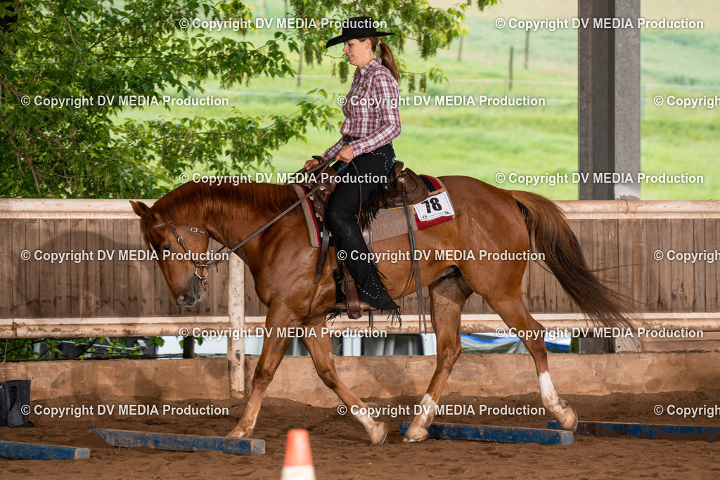 Erbach Tag 3-290 | dv-media-shop - Realisiert mit Pictrs.com