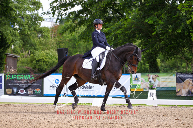 DKP41458 | Deine Turnierfotos vom Reitturnier online kaufen: Dressur, Springen & Siegerehrung. Professionelle Pferdefotografie aus dem Rheinland – als Download & Print.Alternative: Turnierfotograf für den Pferdesport: Finde deine Fotos von Dressur- und Springturnier