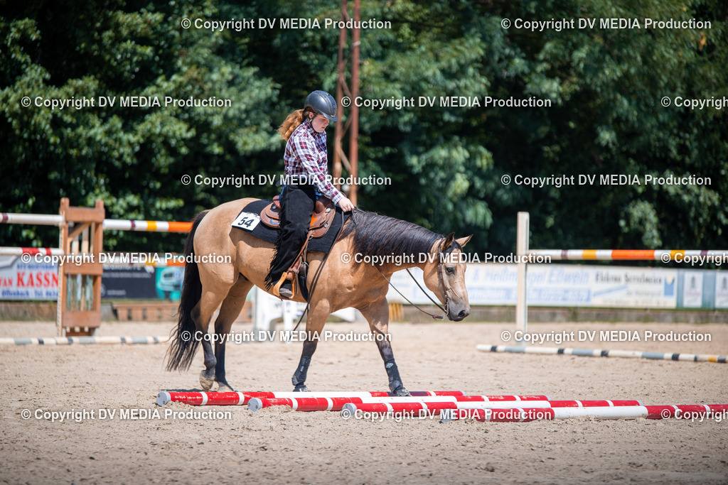 ZS1_1278 | dv-media-shop - Realisiert mit Pictrs.com