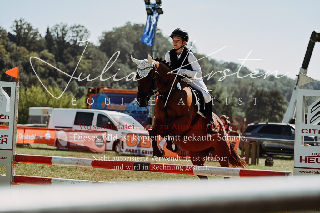 DSC_6617 | Pferde- und Turnierfotografie in Westsachsen. Pferdeportraits, Auftragszeichnungen und intuitive Kunst.