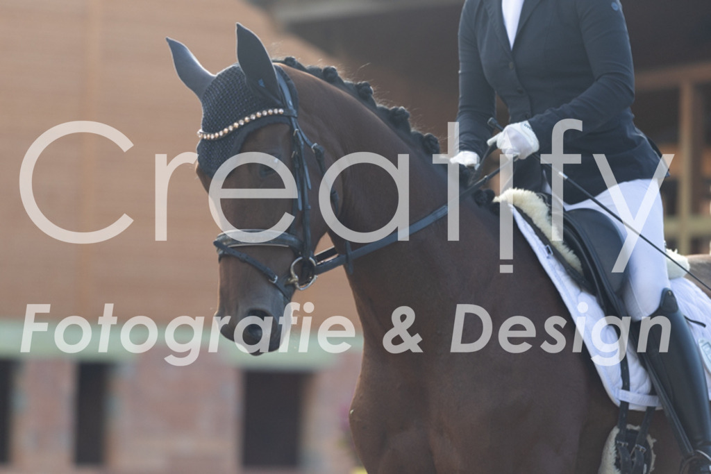 IMG_9976 | Creatify Fotografie