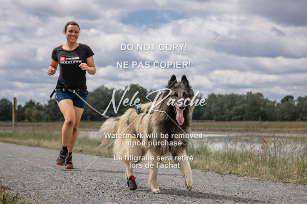 nelerasche_BuHu2026_SaCC1100-1200_215 | nelerasche